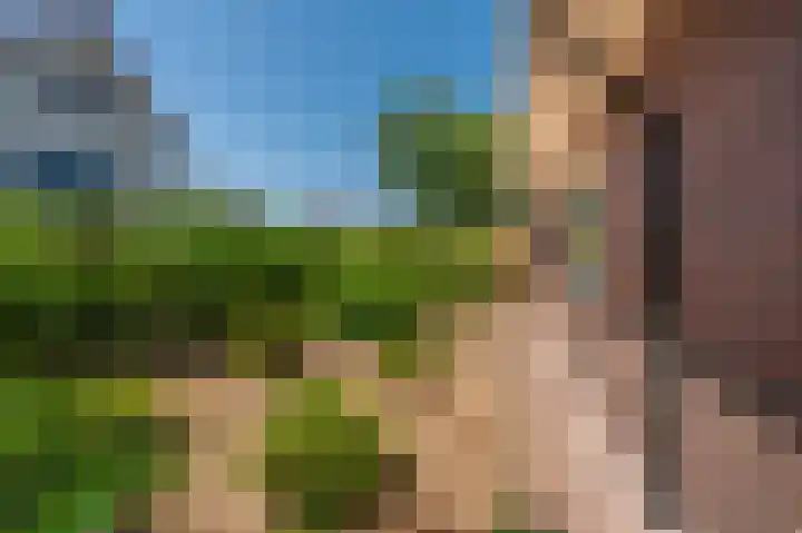 Hoofdweg 75 Bellingwolde thumbnail 6