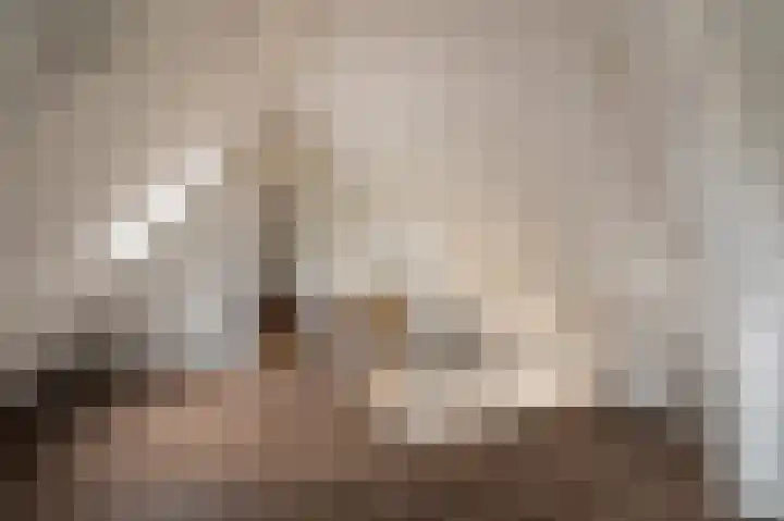 Hoofdweg 75 Bellingwolde thumbnail 60
