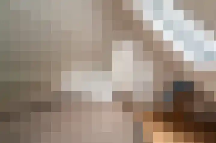 Hoofdweg 75 Bellingwolde thumbnail 62