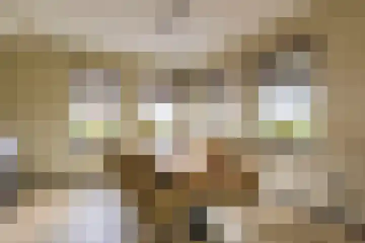Hoofdweg 75 Nieuw Beerta thumbnail 15