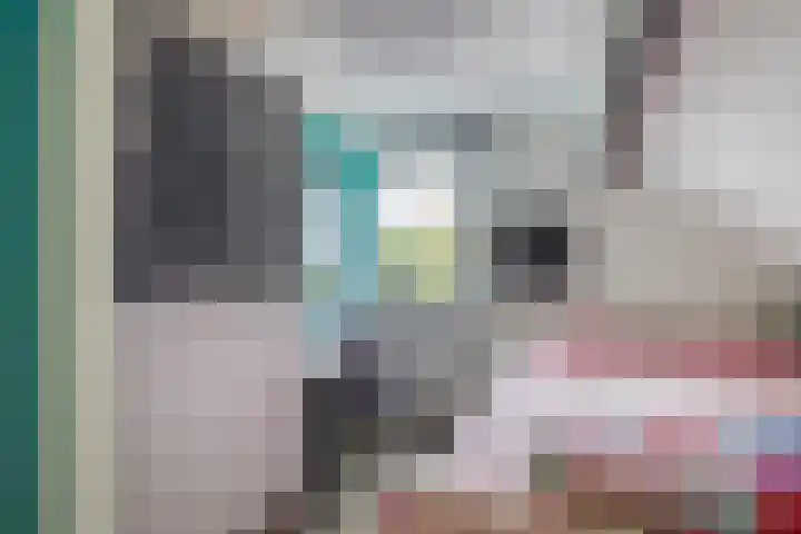 Hoofdweg 75 Nieuw Beerta thumbnail 37