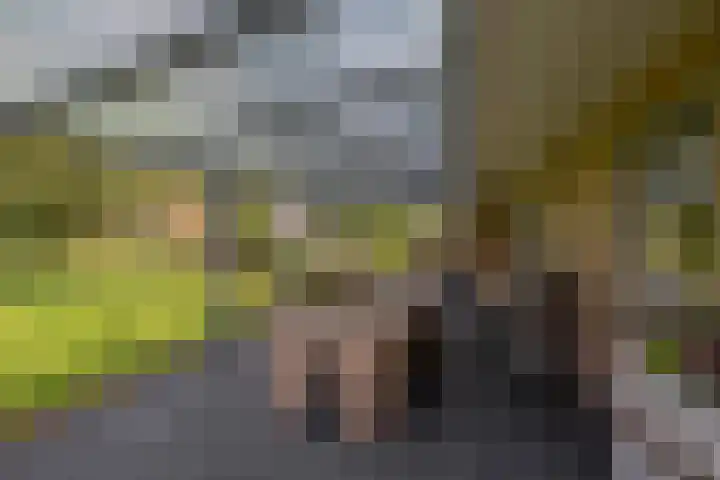 Hoofdweg 75 Nieuw Beerta thumbnail 40