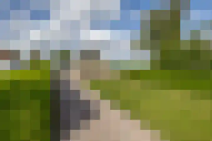 Hoofdweg 75 Nieuw Beerta thumbnail 5