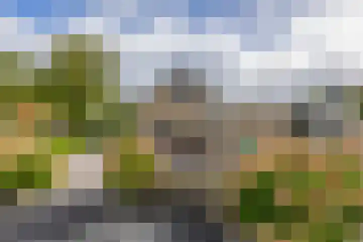 Hoofdweg 75 Nieuw Beerta thumbnail 50