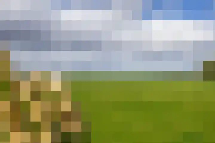 Hoofdweg 75 Nieuw Beerta thumbnail 58