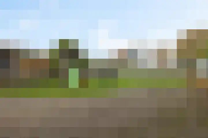 Hoofdweg 76 De Krim thumbnail 31
