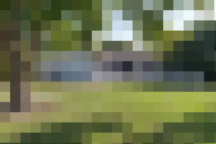 Hoofdweg 77 De Kwakel thumbnail 10