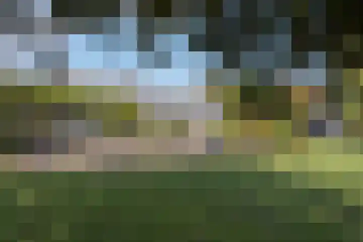 Hoofdweg 77 De Kwakel thumbnail 11