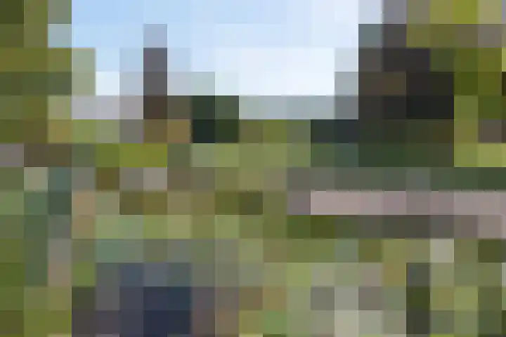Hoofdweg 77 De Kwakel thumbnail 12