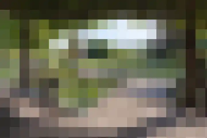 Hoofdweg 77 De Kwakel thumbnail 13