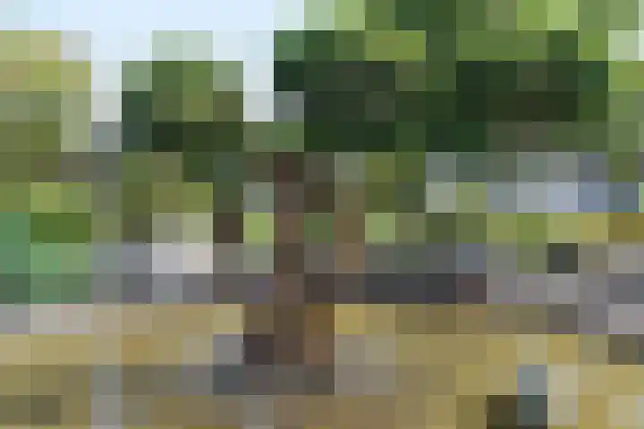 Hoofdweg 77 De Kwakel thumbnail 15