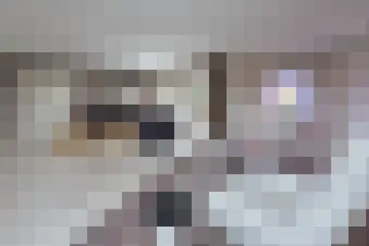 Hoofdweg 77 De Kwakel thumbnail 20