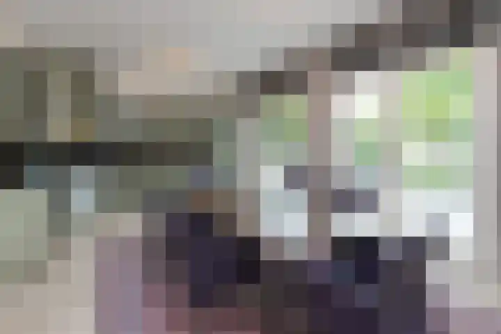 Hoofdweg 77 De Kwakel thumbnail 26