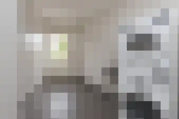 Hoofdweg 77 De Kwakel thumbnail 28