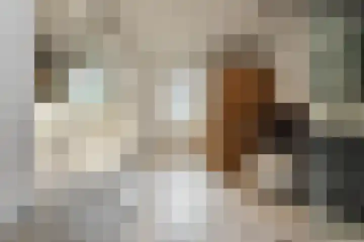 Hoofdweg 77 De Kwakel thumbnail 29