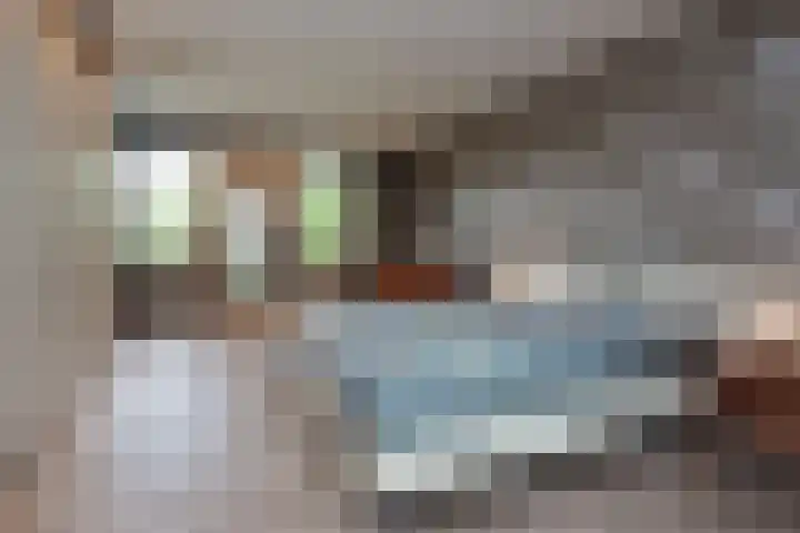 Hoofdweg 77 De Kwakel thumbnail 31