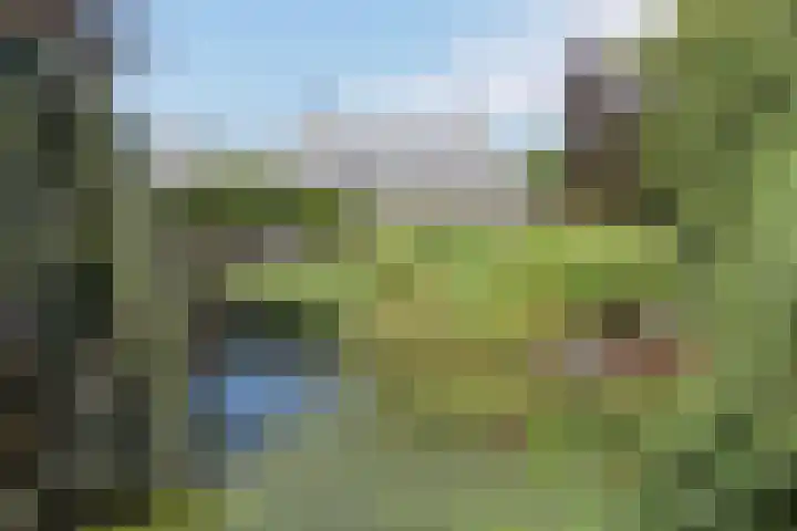 Hoofdweg 77 De Kwakel thumbnail 38