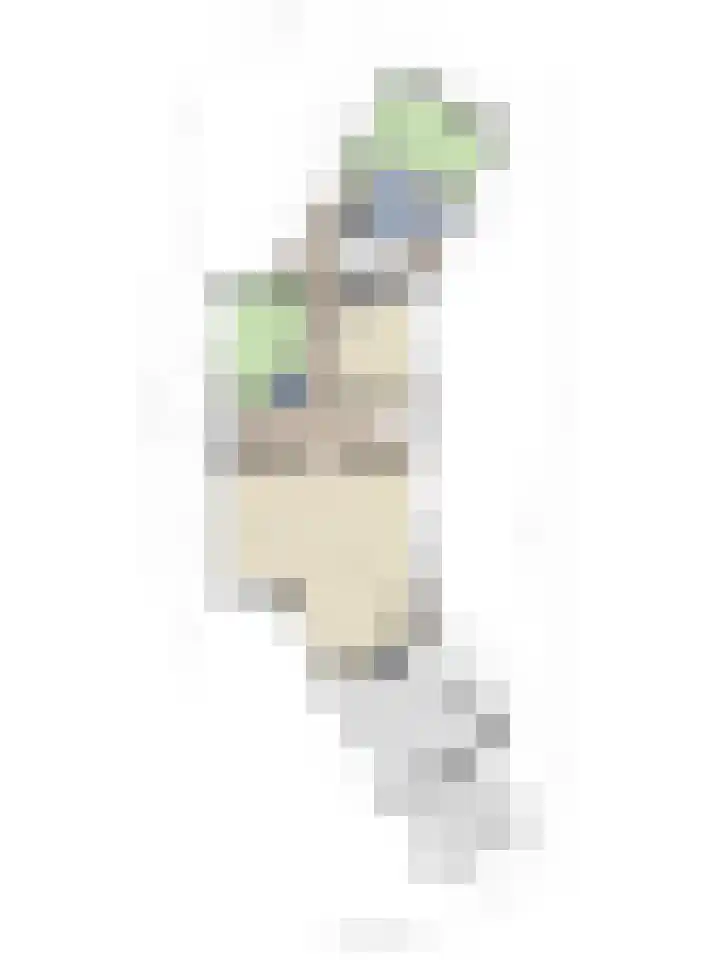 Hoofdweg 77 De Kwakel thumbnail 41