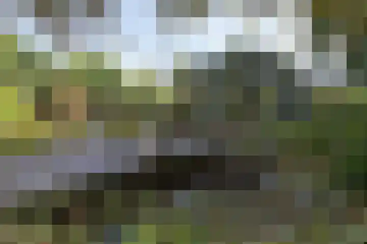 Hoofdweg 77 De Kwakel thumbnail 7
