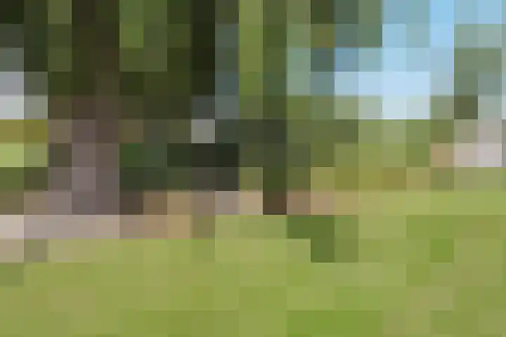 Hoofdweg 77 De Kwakel thumbnail 9