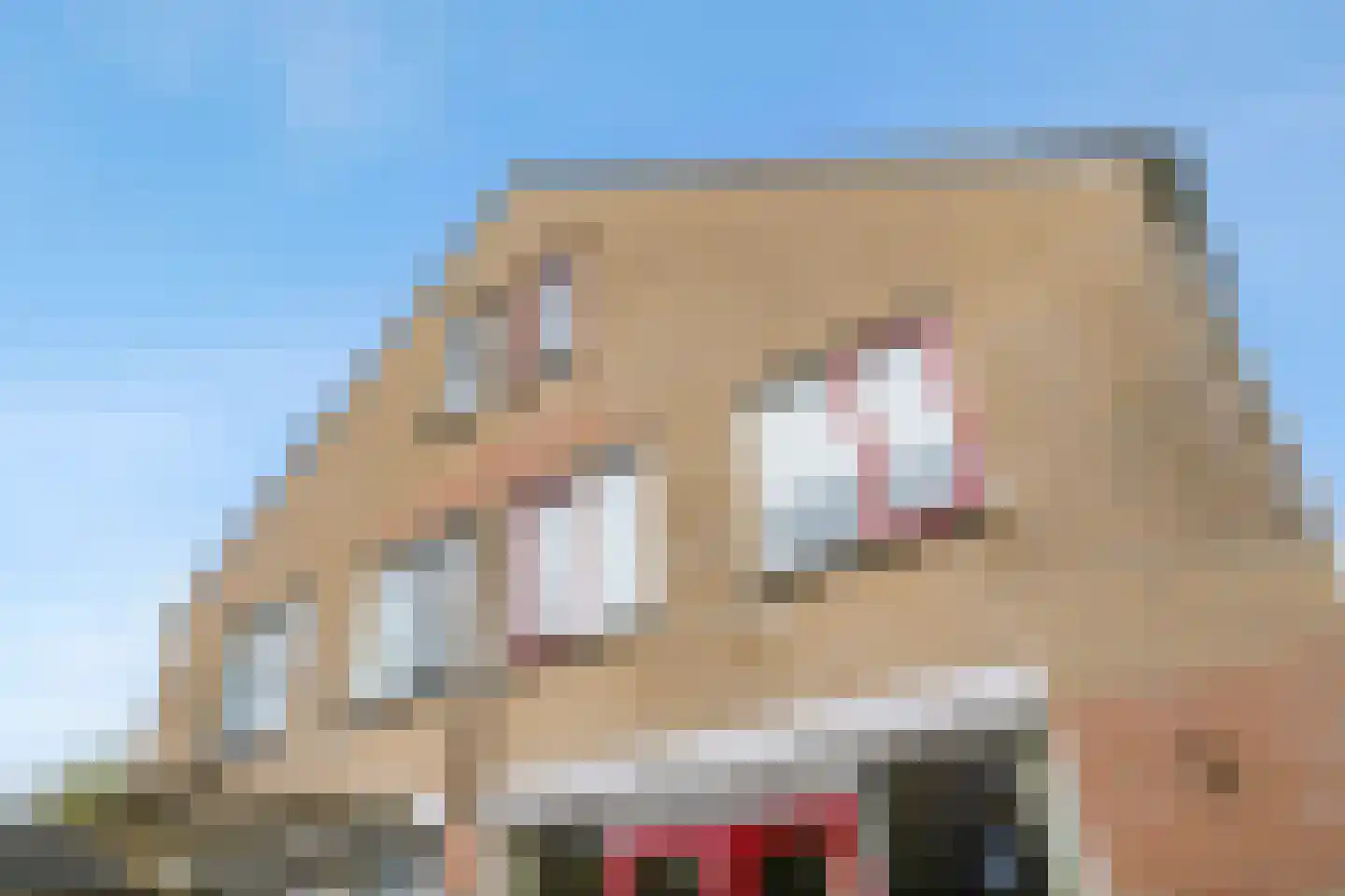 Hoofdweg 785 A Hoofddorp thumbnail 39