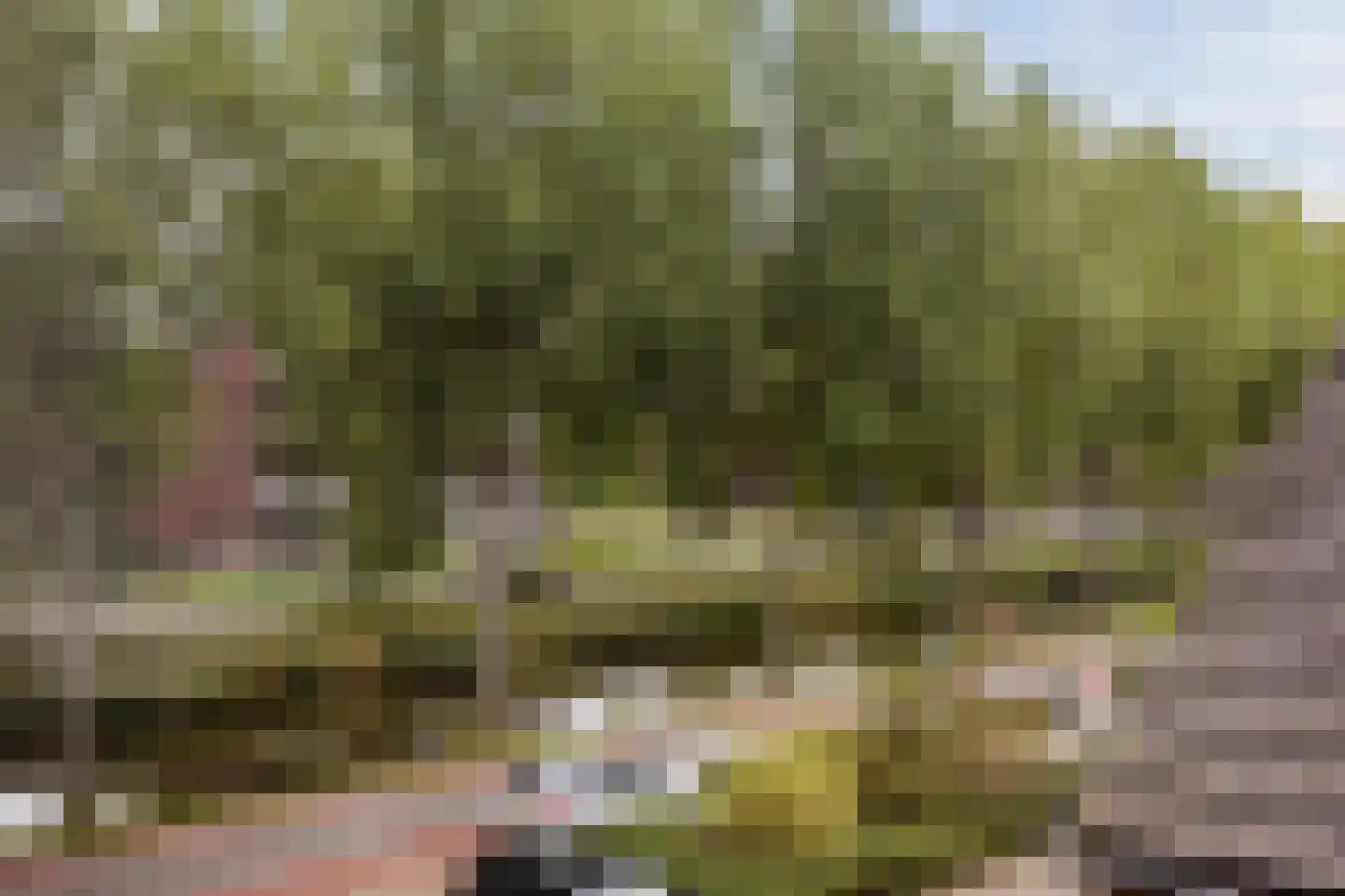 Hoofdweg 789 A Hoofddorp thumbnail 42