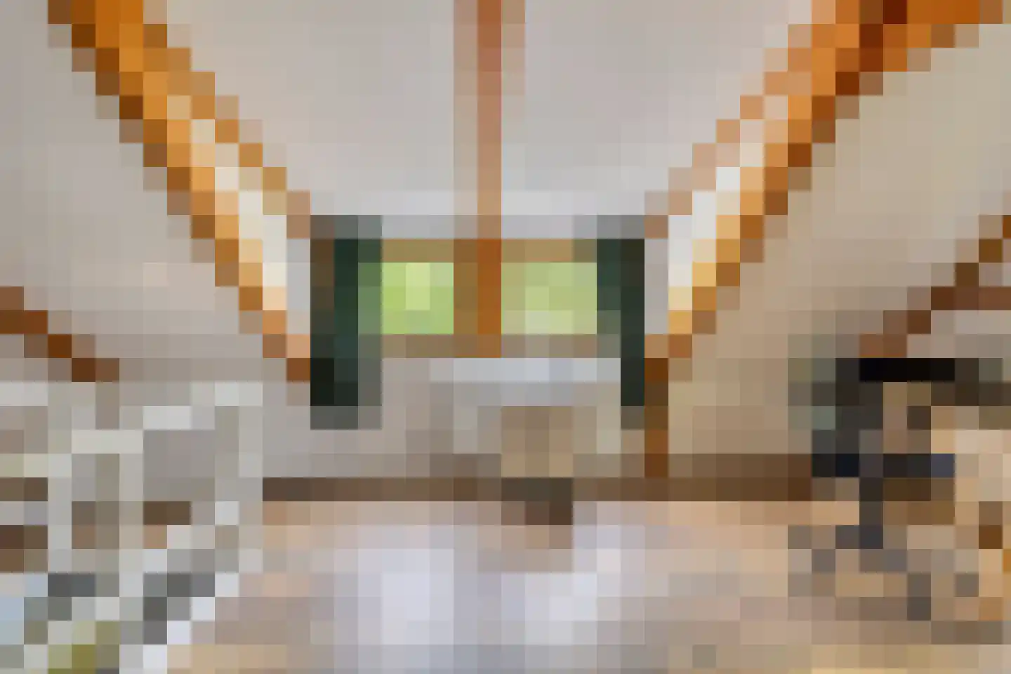 Hoofdweg 79 't Waar thumbnail 45