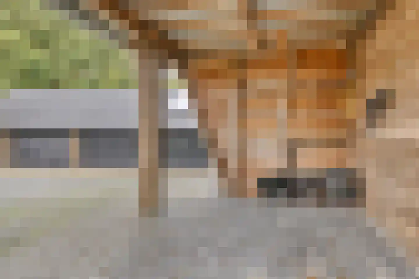 Hoofdweg 79 't Waar thumbnail 50