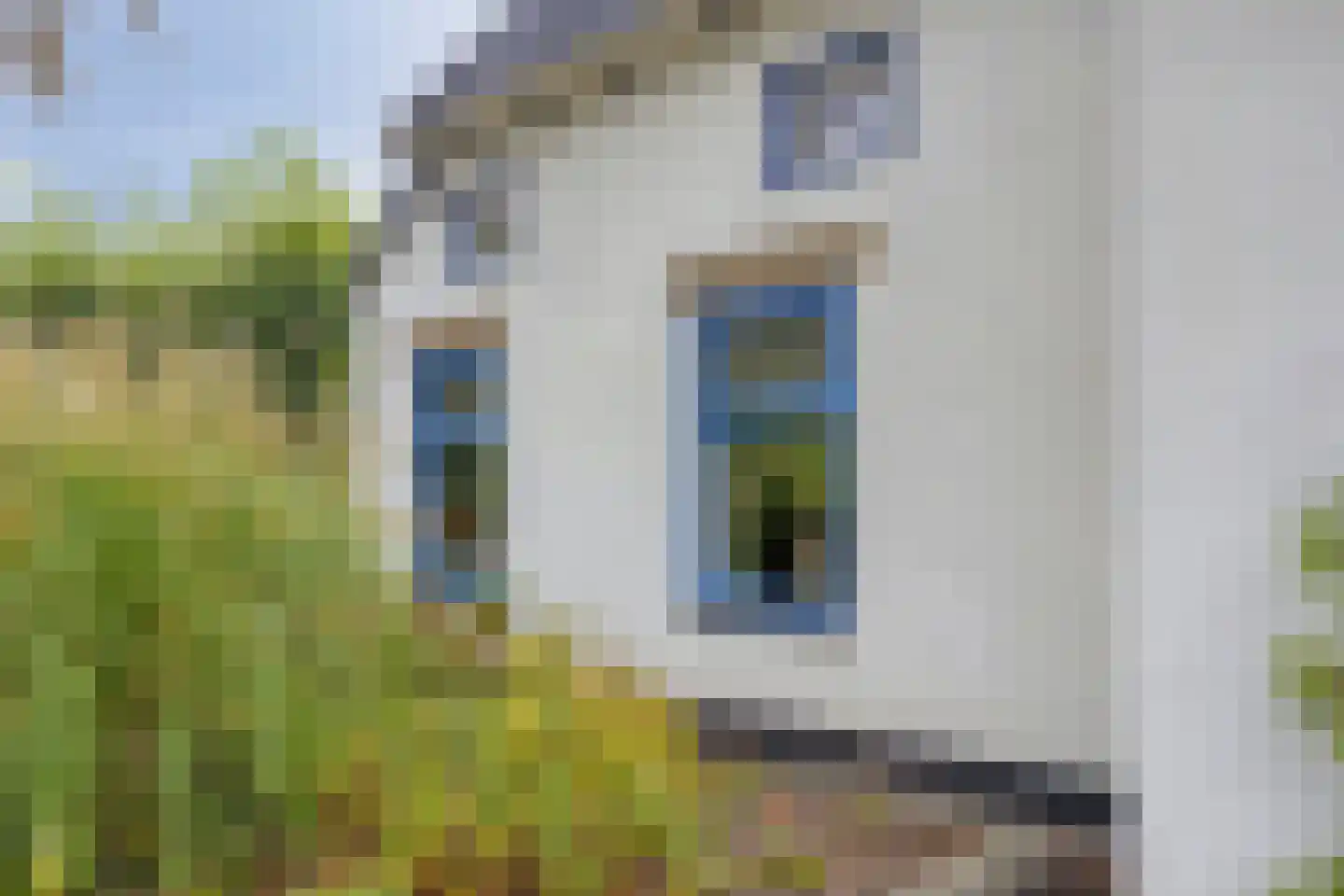 Hoofdweg 79 't Waar thumbnail 53