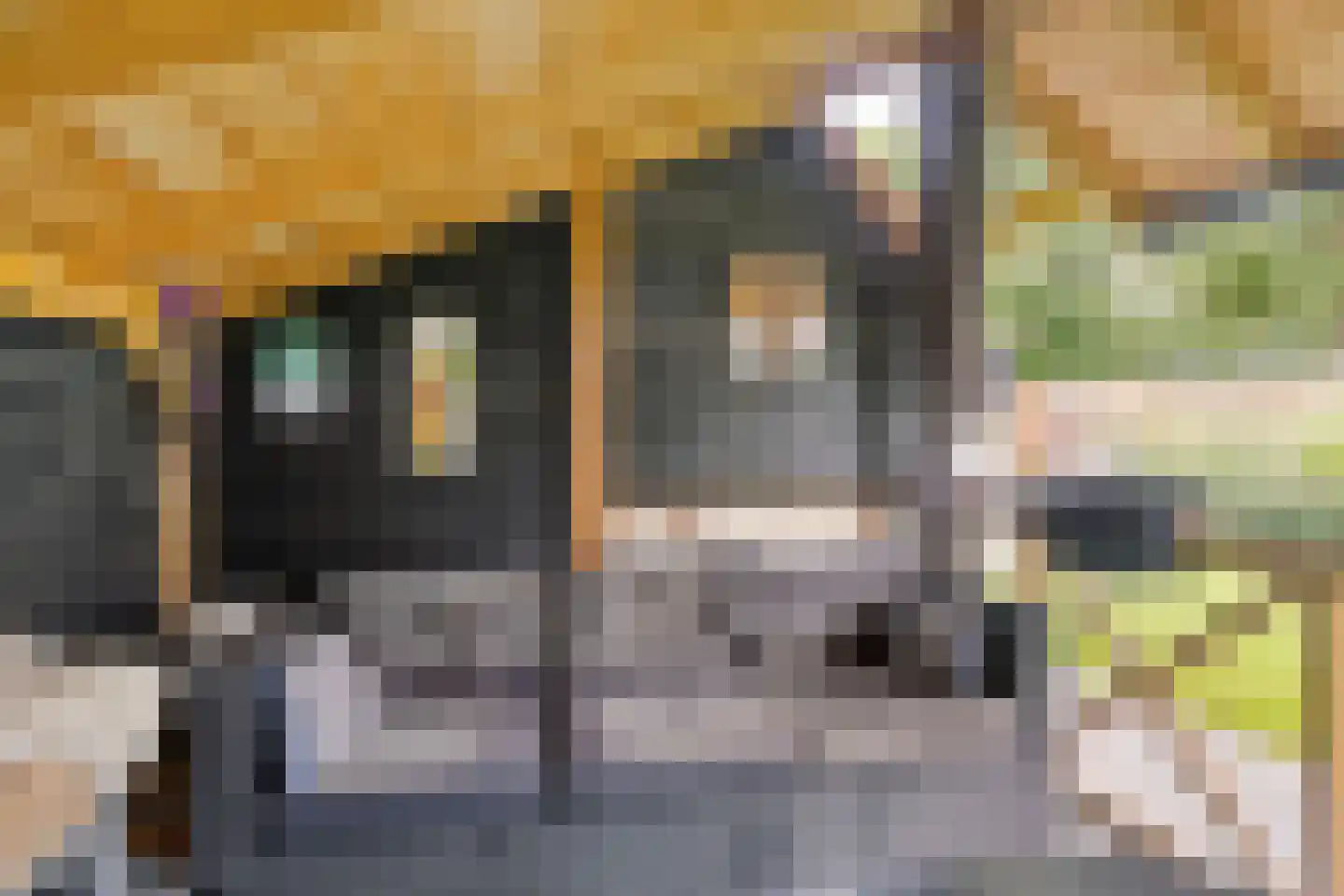 Hoofdweg 79 't Waar thumbnail 61