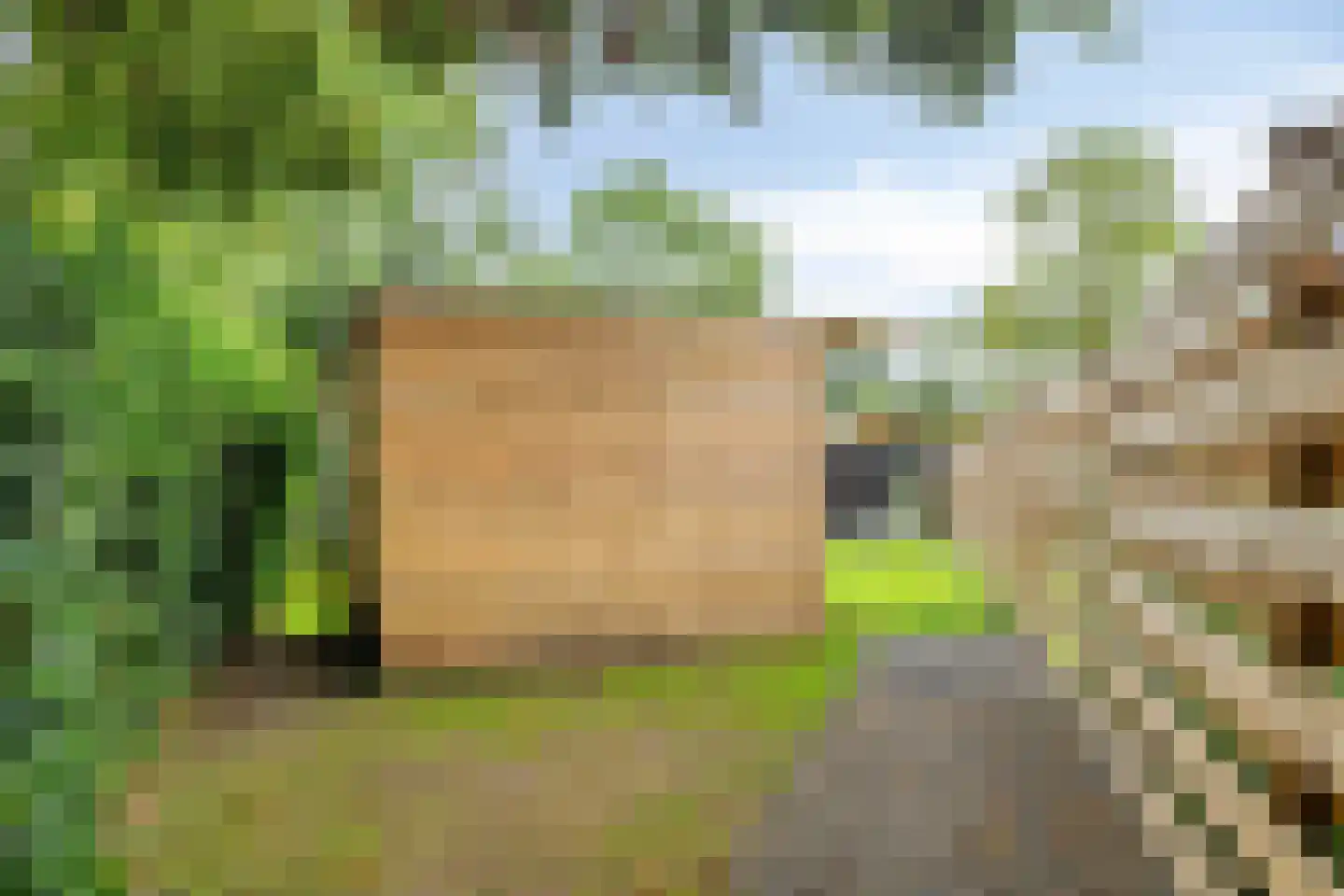 Hoofdweg 79 't Waar thumbnail 72