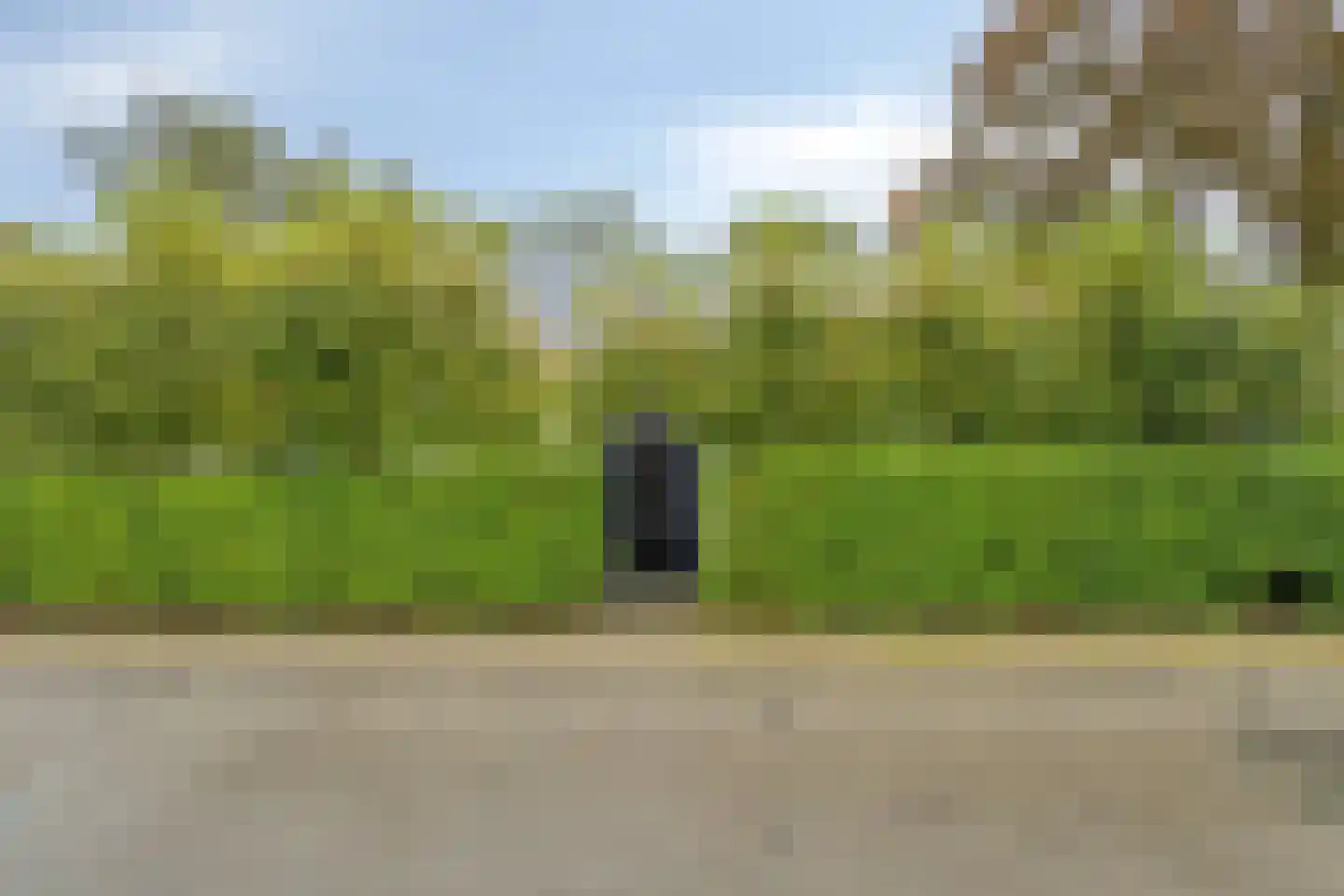 Hoofdweg 79 't Waar thumbnail 8