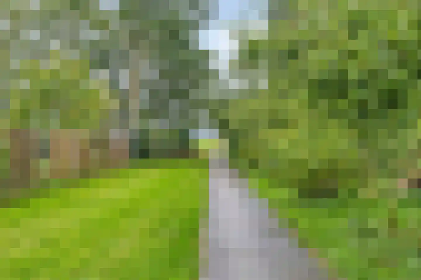 Hoofdweg 79 't Waar thumbnail 84