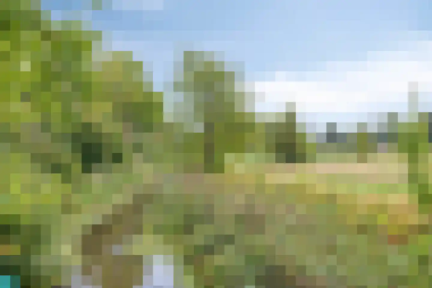 Hoofdweg 79 't Waar thumbnail 92