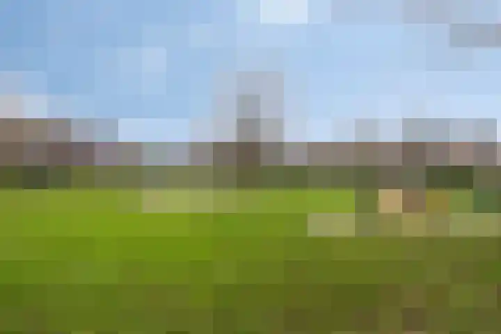 Hoofdweg 797 A Hoofddorp thumbnail 35