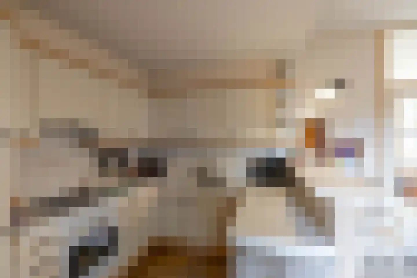 Hoofdweg 8 Godlinze thumbnail 16