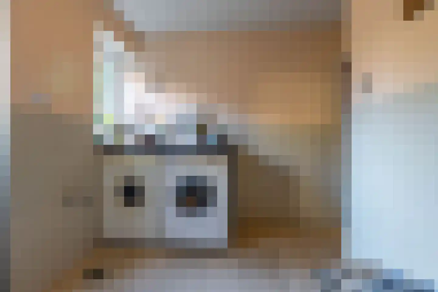 Hoofdweg 8 Godlinze thumbnail 17