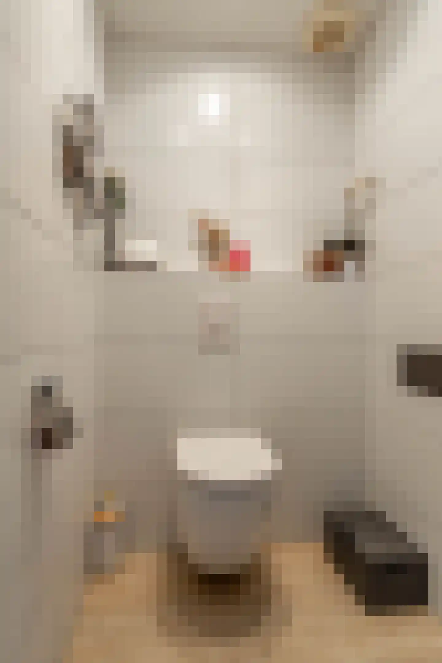 Hoofdweg 8 Godlinze thumbnail 21