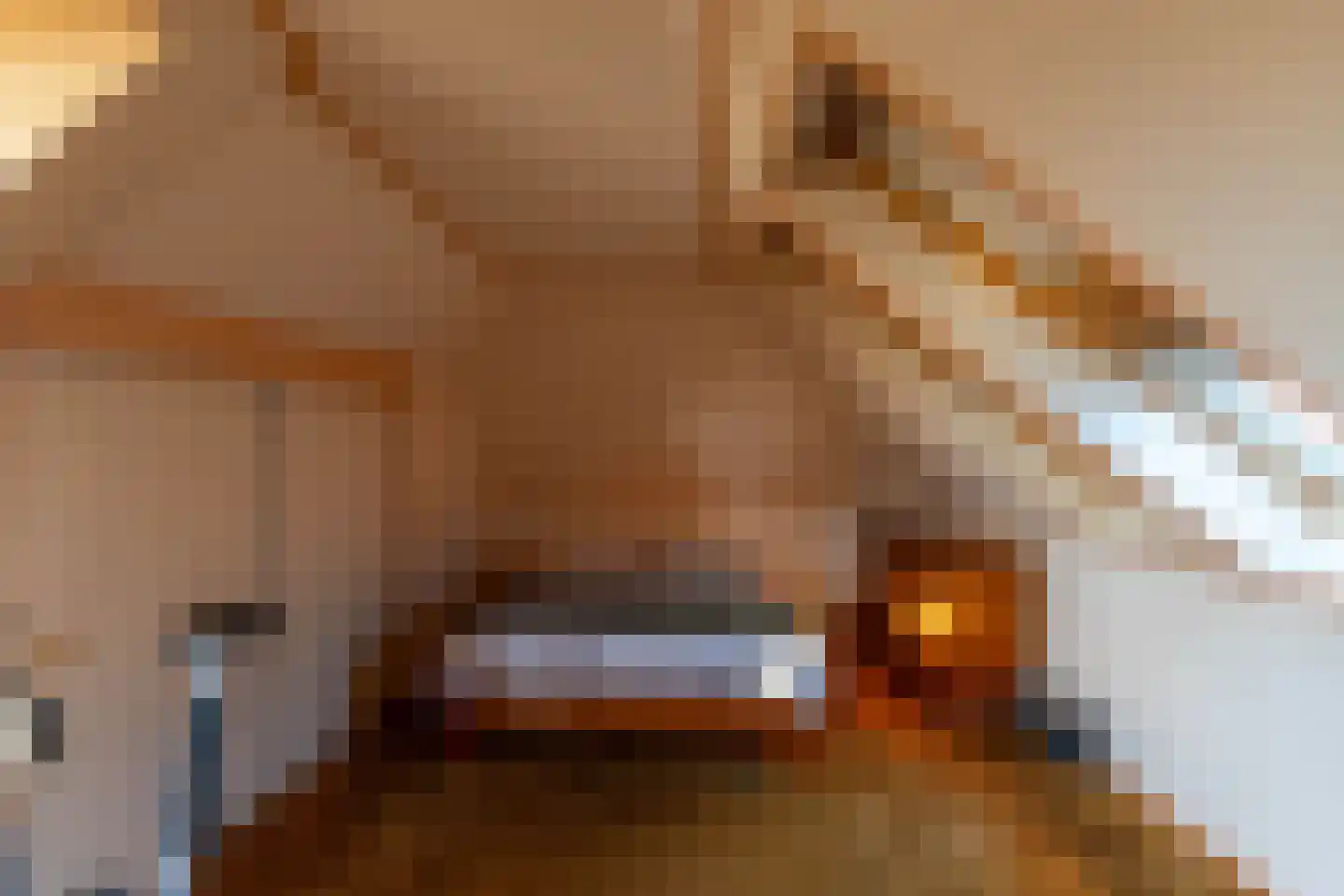 Hoofdweg 8 Godlinze thumbnail 36