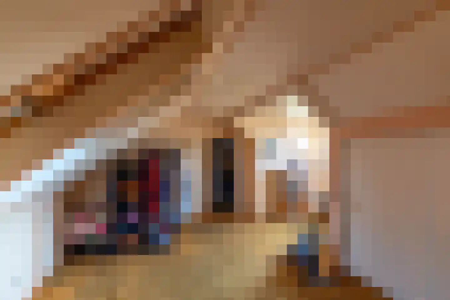 Hoofdweg 8 Godlinze thumbnail 37