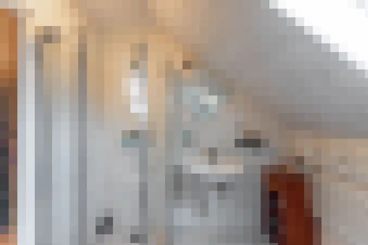 Hoofdweg 8 Godlinze thumbnail 40