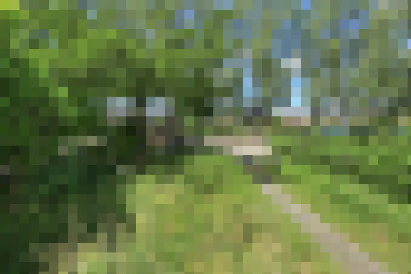 Hoofdweg 80 A Lijnden thumbnail 14