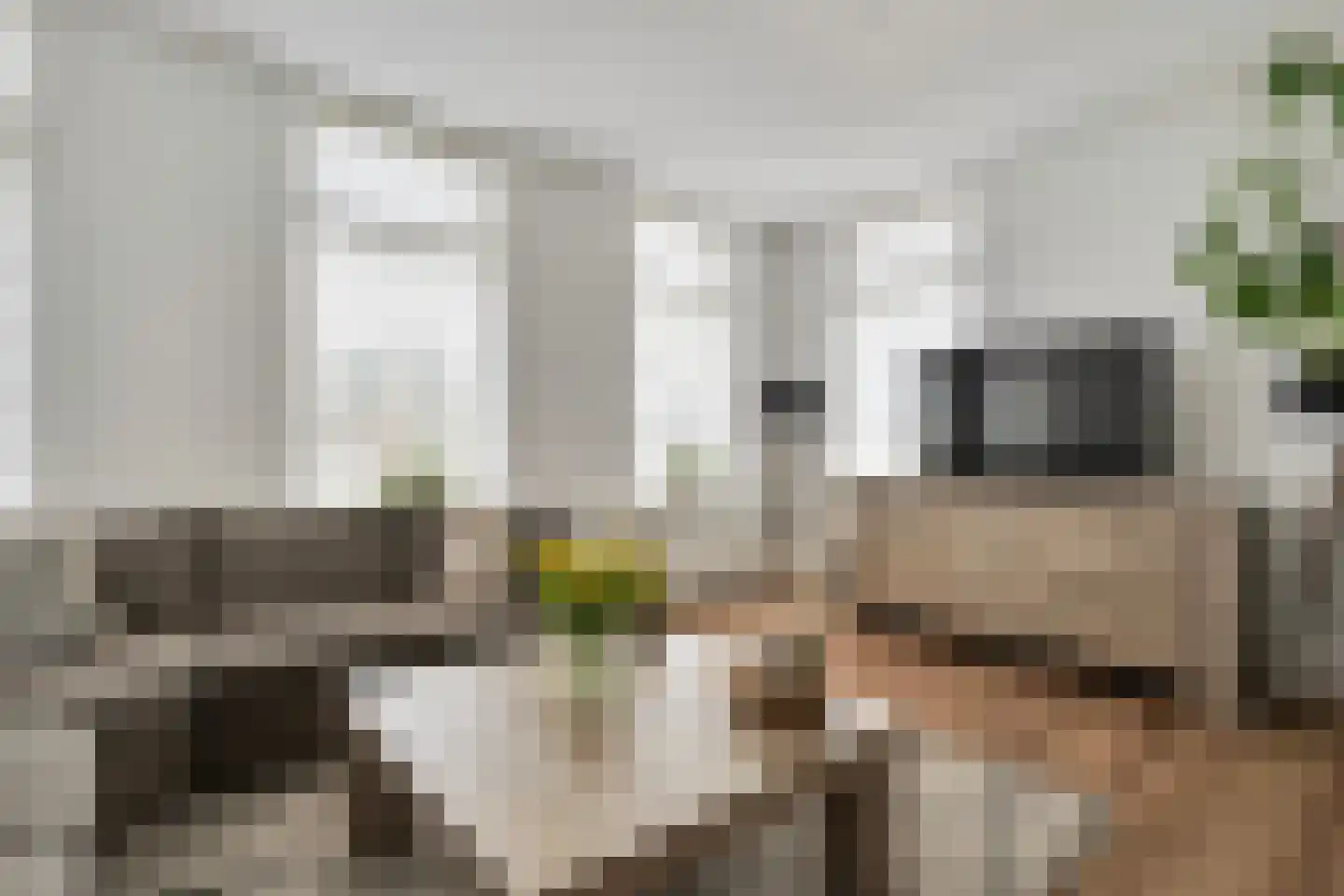 Hoofdweg 80 Nijensleek thumbnail 17
