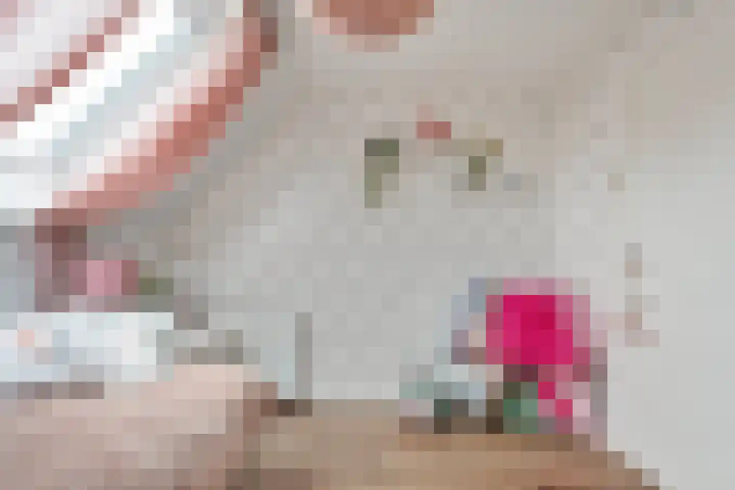 Hoofdweg 80 Nijensleek thumbnail 34