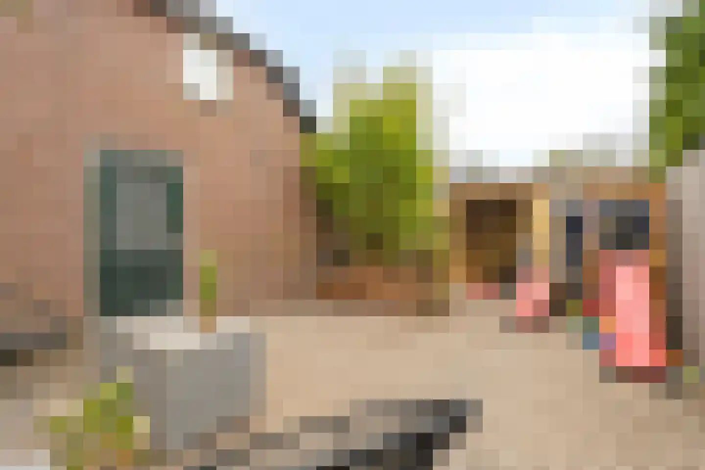 Hoofdweg 80 Nijensleek thumbnail 38