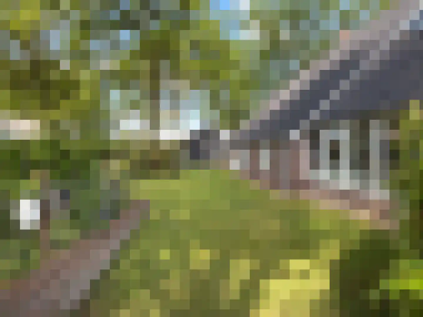 Hoofdweg 81 Coevorden thumbnail 19