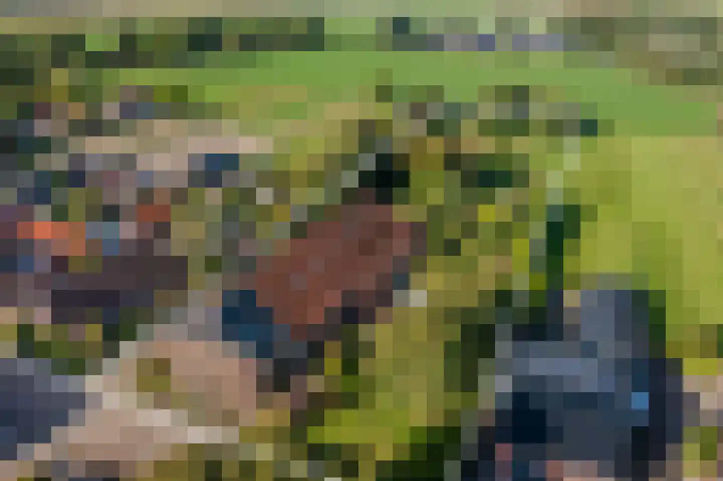 Hoofdweg 82 Wagenborgen thumbnail 8