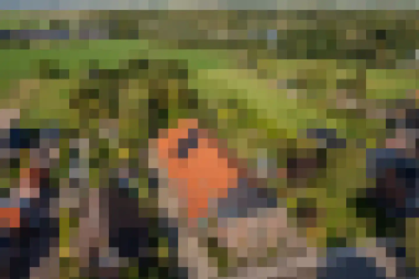 Hoofdweg 82 Wagenborgen thumbnail 9