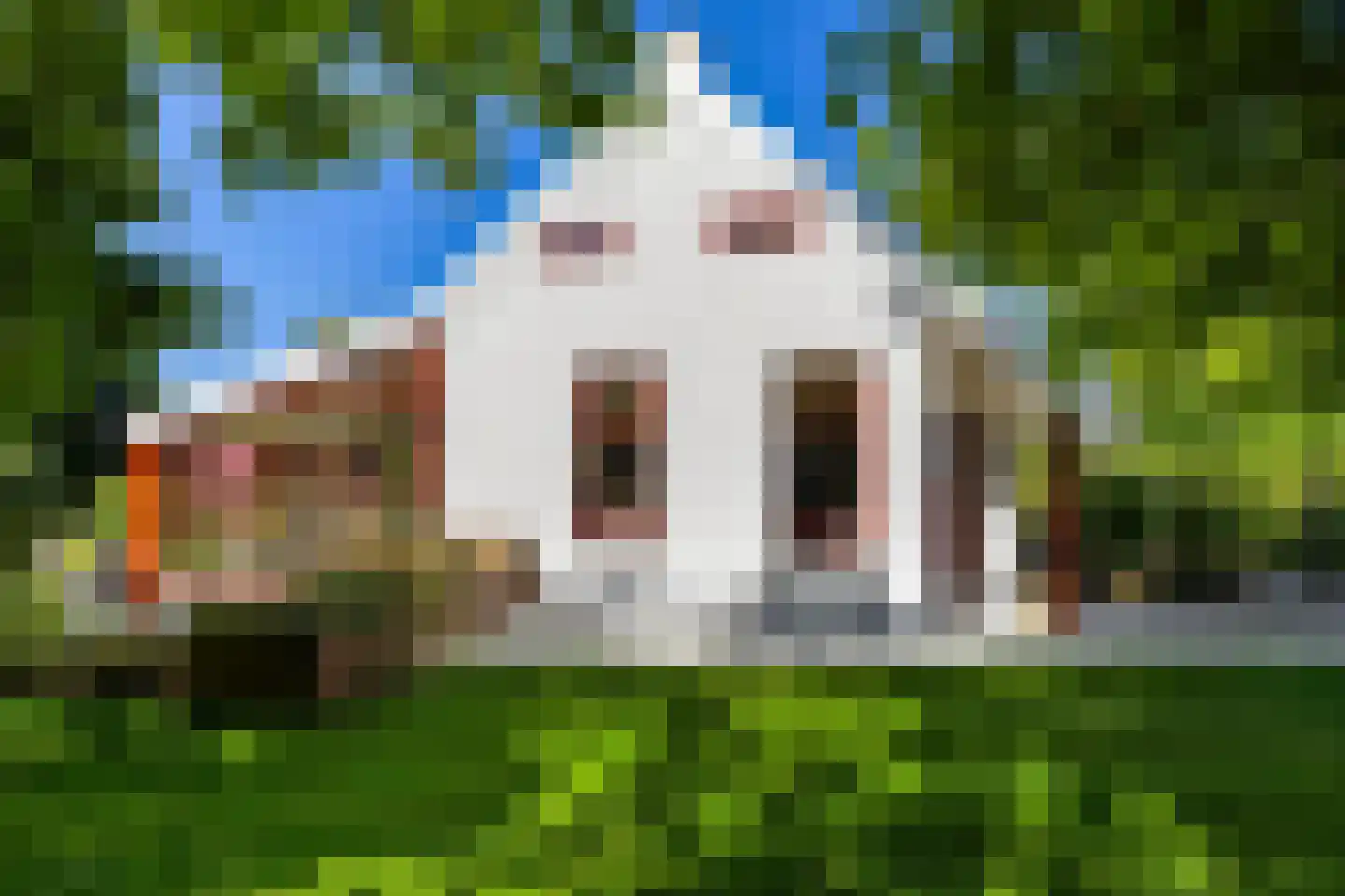 Hoofdweg 85 Froombosch thumbnail 44