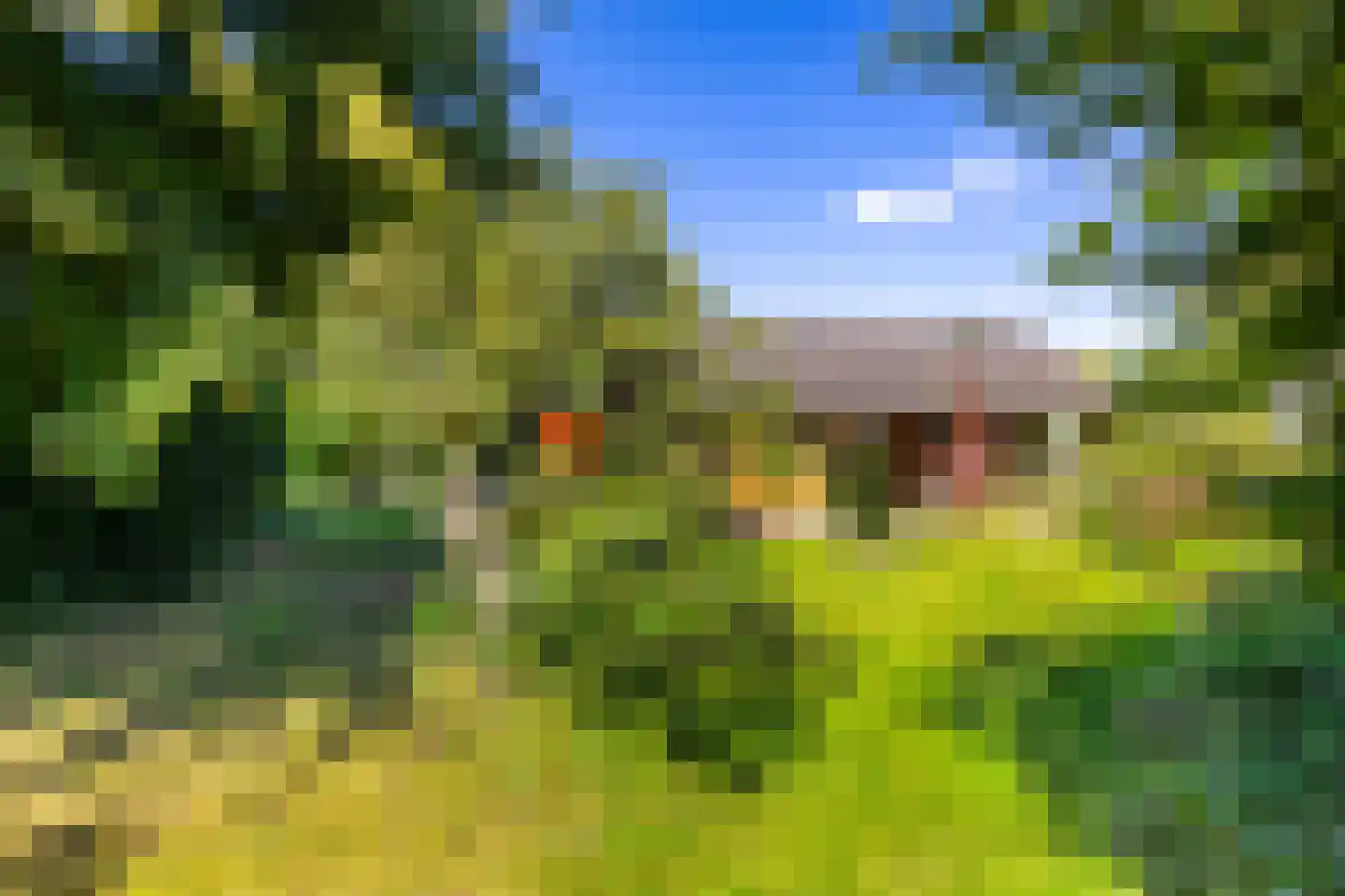 Hoofdweg 85 Froombosch thumbnail 68